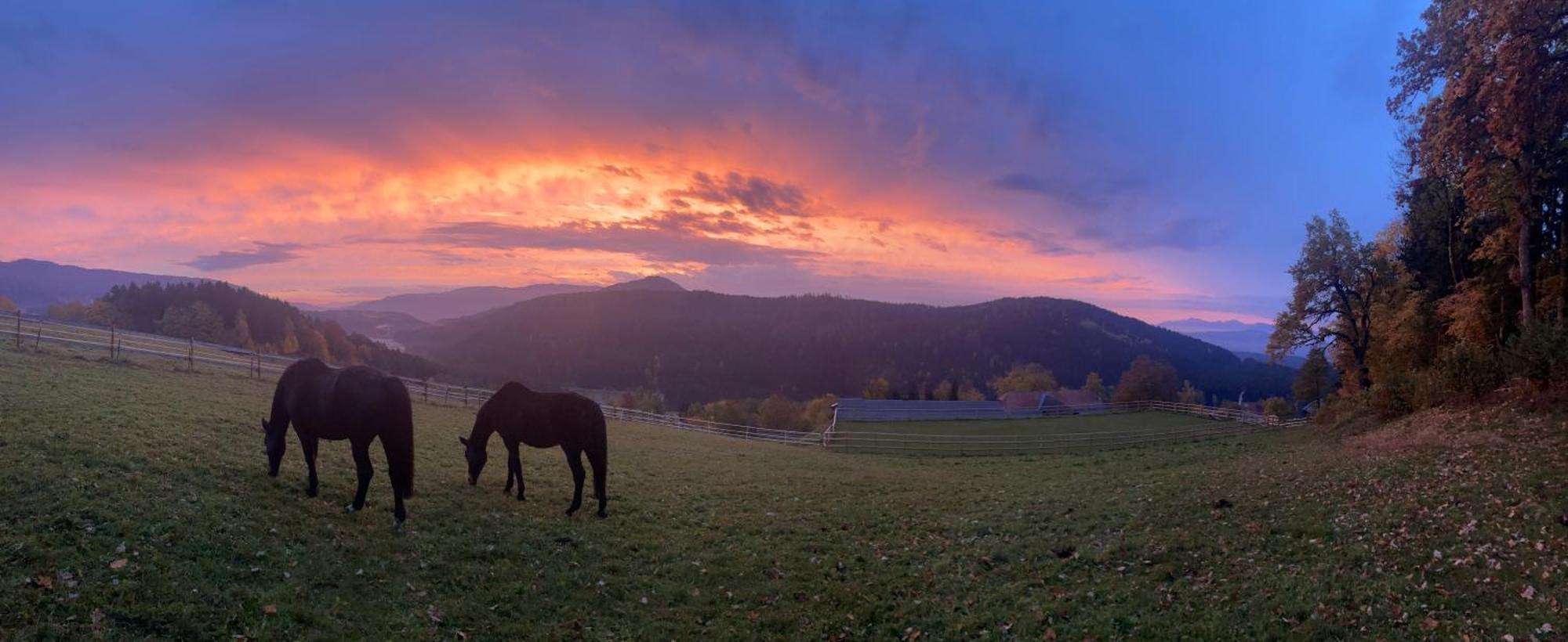 Little Farm Apartments Feldkirchen in Kärnten Exteriör bild